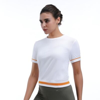 quality Cropped Mesh Workout Short Sleeve Tops 92% Nylon 8% Spandex factory