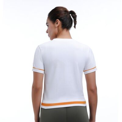 quality Cropped Mesh Workout Short Sleeve Tops 92% Nylon 8% Spandex factory